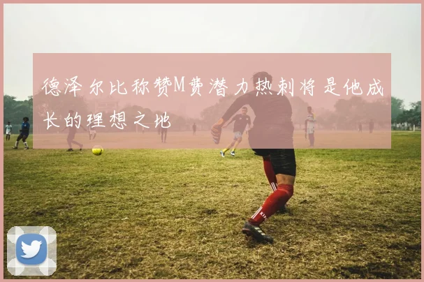 德泽尔比称赞M费潜力热刺将是他成长的理想之地