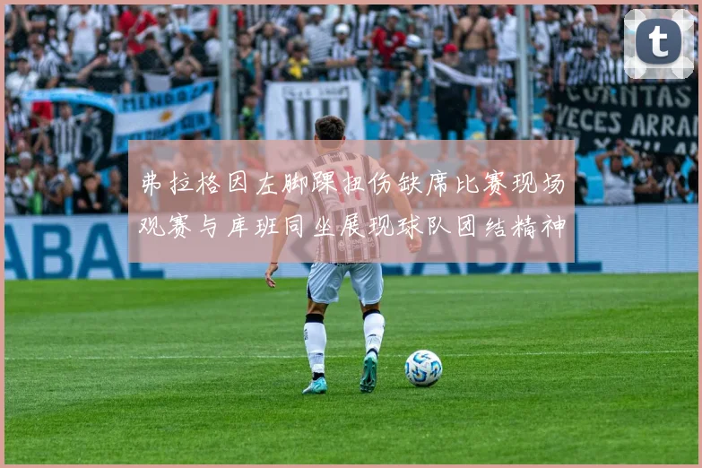 弗拉格因左脚踝扭伤缺席比赛现场观赛与库班同坐展现球队团结精神