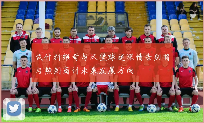 武什科维奇与汉堡球迷深情告别将与热刺商讨未来发展方向